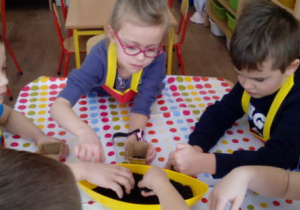 Dzieci przy stoliku napełniają ziemię w doniczkach do pikowania.